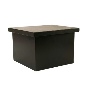 Ash Branch Closed Outdoor Storage Box - Black (synthetic illustration; no displayed measurements)