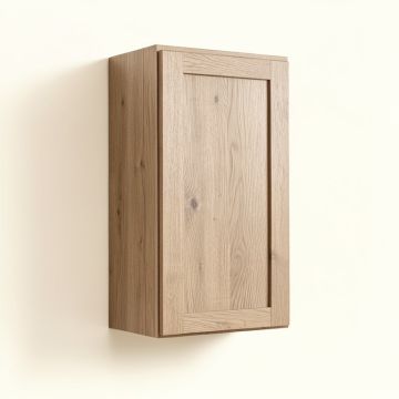 Daria 25 '' W X 30 '' H X 9 '' D Wall Mounted Cabinet (synthetic illustration; no displayed measurements)