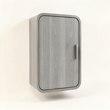 River Crest Wall-Mounted Laundry Cabinet - Gray (synthetic illustration; no displayed measurements)