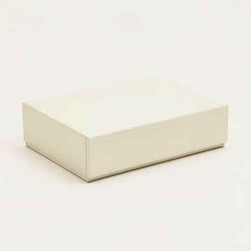 Elm Dell Desktop Monitor Riser - Ivory (synthetic illustration; no displayed measurements)
