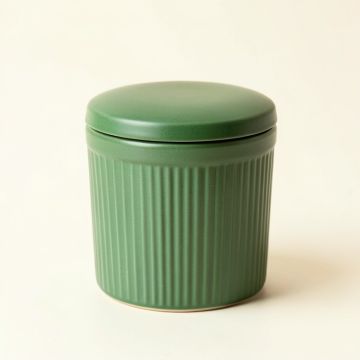 Reed Branch Storage Canister With Lid - Green (synthetic illustration; no displayed measurements)