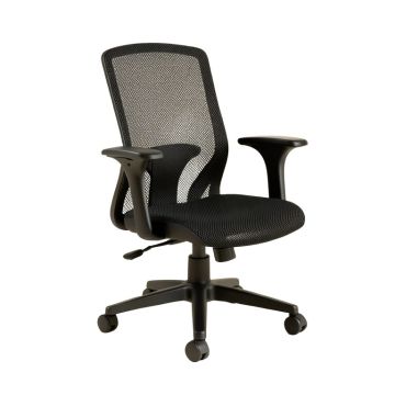 Billups Ergonomic Mesh Task Chair