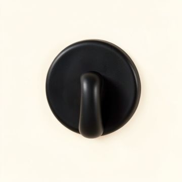 Birch Crest Wall-Mounted Robe Hook - Black (synthetic illustration; no displayed measurements)