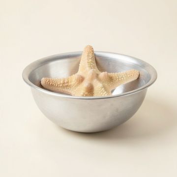 Scallop Starfish 8.5 '' Serving Bowl (synthetic illustration; no displayed measurements)
