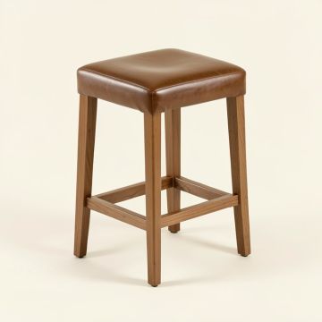 Leocadia Bar & Counter Stool (synthetic illustration; no displayed measurements)