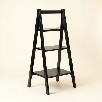 Domonque 52 '' H X 19 '' W Ladder Bookcase (synthetic illustration; no displayed measurements)