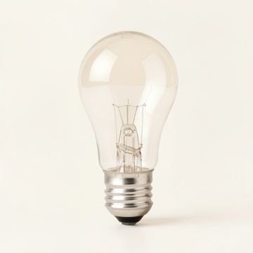 60 Watt Equivalent , Led , Dimmable Light Bulb , ( 2000K ) E26/Medium ( Standard ) Base (synthetic illustration; no displayed measurements)