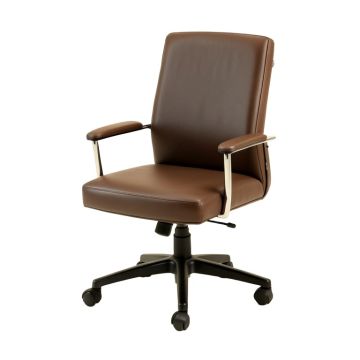 Carvis Office Work Beauty Salon Task Chair