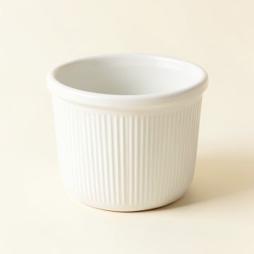 Maple Dale Empty Planter - White (synthetic illustration; no displayed measurements)