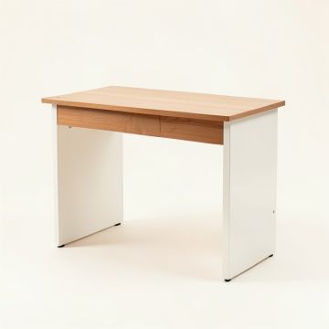 Dayne Desk (synthetic illustration; no displayed measurements)