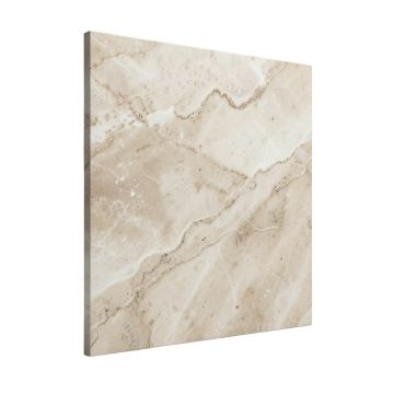 Kalta Fiore 32 '' X 32 '' Marble Stone Look Wall And Floor Tile (synthetic illustration; no displayed measurements)
