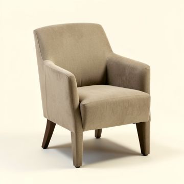 Naoma Script Slipcovered Upholstered Dining Chair (synthetic illustration; no displayed measurements)