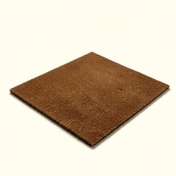 Door Mats Go Away 30 In . X 18 In . Outdoor Door Mat (synthetic illustration; no displayed measurements)