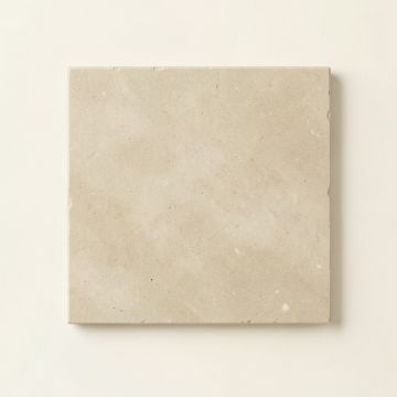 Heath Branch Uninstalled Square Decorative Tile - Beige (synthetic illustration; no displayed measurements)