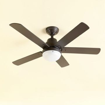 50 '' Lapa Flush Mount Ceiling Fan (synthetic illustration; no displayed measurements)