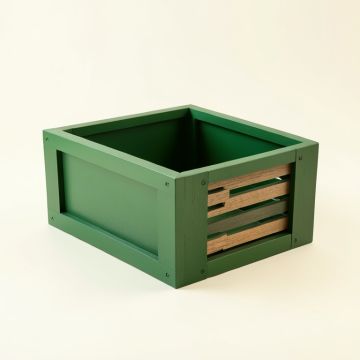 Brook Canyon Empty Furniture-Style Litter Enclosure - Green (synthetic illustration; no displayed measurements)