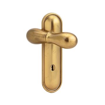 Custom Broadway Non-Turning Lever With Century Trim