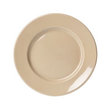 Darrion 11 '' Melamine Dinner Plate