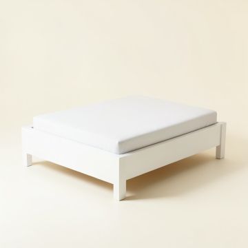 Paddy Daybed (synthetic illustration; no displayed measurements)