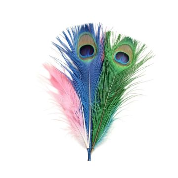 Eye Natural Peacock Tails Feathers