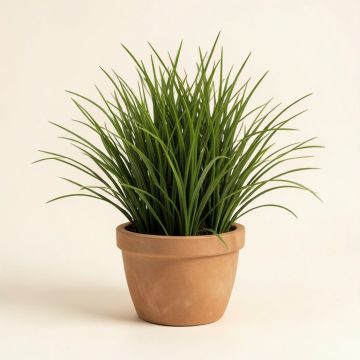 Artificial Desktop Succulent And Grass Arrangement Plant In Pot (synthetic illustration; no displayed measurements)