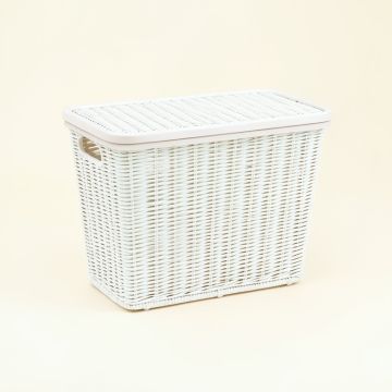 Ash Arc Laundry Hamper (synthetic illustration; no displayed measurements)