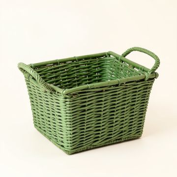Fern Brook Empty Storage Basket - Green (synthetic illustration; no displayed measurements)