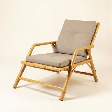 Riedel Recliner Patio Chair (synthetic illustration; no displayed measurements)