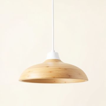 Dawn Arc Pendant Light Suspended From One Plain Cable (synthetic illustration; no displayed measurements)
