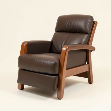 Alkim 26.3 '' Wide Power Lift Assist Standard Recliner (synthetic illustration; no displayed measurements)