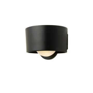 Flint Branch Wall Sconce Mounted On A Plain Wall - Black