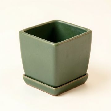 Holly Bluff Empty Planter - Green (synthetic illustration; no displayed measurements)