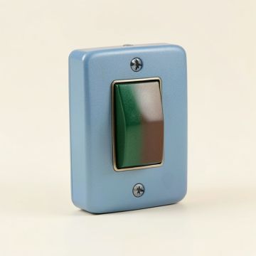 Peacock Proud Single Toggle Light Switch (synthetic illustration; no displayed measurements)