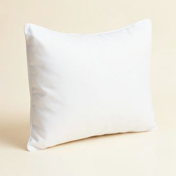 Wayfair Basics Waterproof Allergy And Bed Pillow Protector (synthetic illustration; no displayed measurements)
