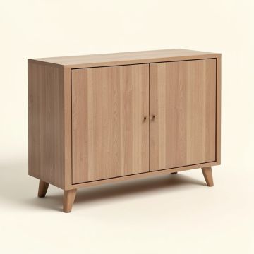 Paloma 2 Doors Accent Cabinet (synthetic illustration; no displayed measurements)