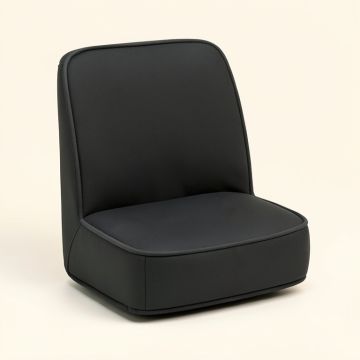 Deluxe Seat Cushion (synthetic illustration; no displayed measurements)