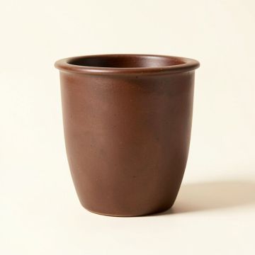 Kellam Ceramic Statue Planter (synthetic illustration; no displayed measurements)
