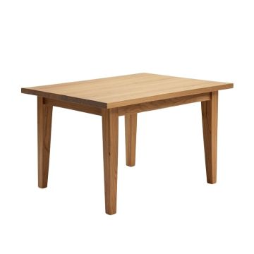Destinie Extendable Solid Wood Dining Table (synthetic illustration; no displayed measurements)