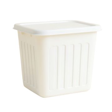 Pine Branch Laundry Hamper - White