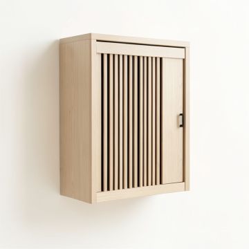 Reed Dale Wall-Mounted Entry Cabinet - Beige (synthetic illustration; no displayed measurements)