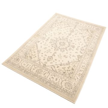 Hartig Oriental Ivory Area Rug