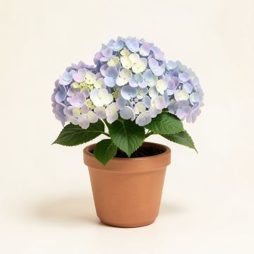 Faux Potted Mini Hydrangea Floral Arrangement In Vase (synthetic illustration; no displayed measurements)