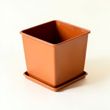 Bay Dell Empty Planter - Terracotta (synthetic illustration; no displayed measurements)