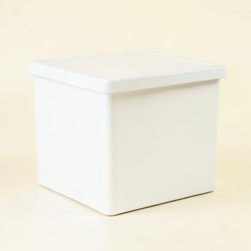 Fern Dale Closed Outdoor Storage Box - White (synthetic illustration; no displayed measurements)