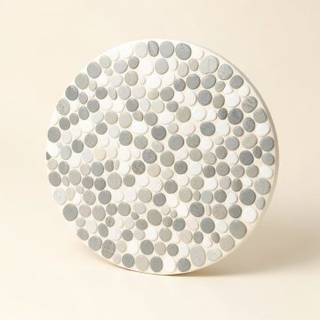 Cascade 12 '' X 12 '' Porcelain Penny Round Mosaic Wall & Floor Tile (synthetic illustration; no displayed measurements)