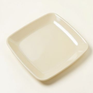 Willsboro Melamine Square 8.25 '' Salad Plate (synthetic illustration; no displayed measurements)