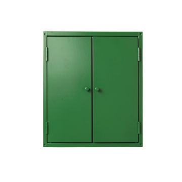 Brook Bluff Wall-Mounted Entry Cabinet - Green