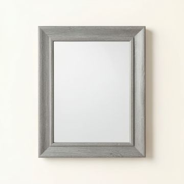 Juniper Crest Framed Wall Mirror - Gray (synthetic illustration; no displayed measurements)