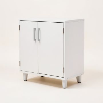 Versa Multipurpose Storage 1 Door Accent Cabinet (synthetic illustration; no displayed measurements)