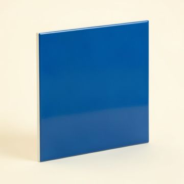 Florid Lantern 6.25 '' X 7.25 '' Straight Edge Ceramic Singular Subway Tile (synthetic illustration; no displayed measurements)